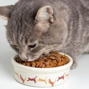 CanineClear Probiotic Capsules