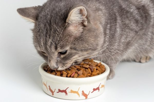 CanineClear Probiotic Capsules